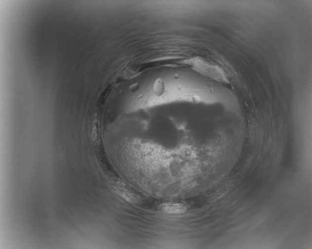 X0000072520169200607290207