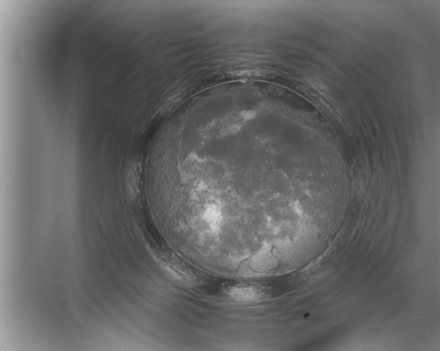 X0000072520171200607290207