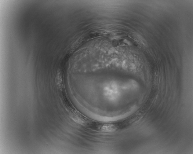 X0000072520173200607290208