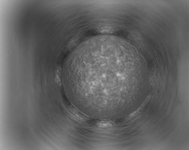 X0000072520175200607290208