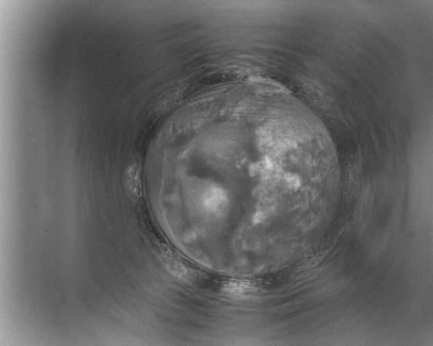 X0000072520177200607290208