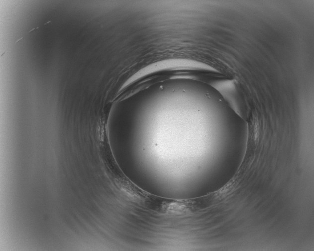 X0000072520180200607290208