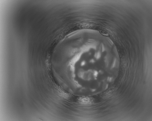 X0000072520181200607290208