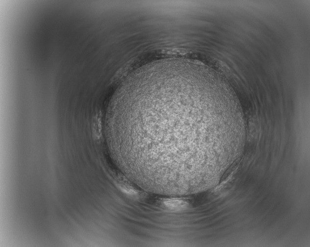 X0000072520183200607290208