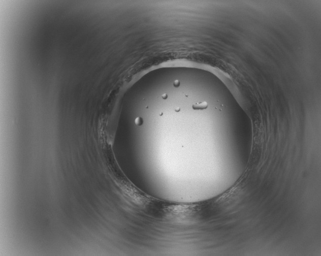 X0000072520184200607290208