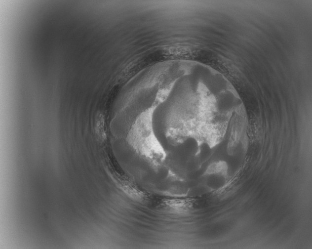 X0000072520187200607290208