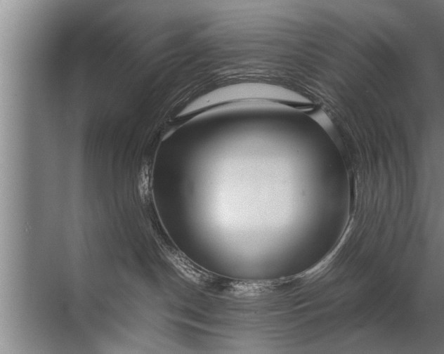 X0000072520190200607290208