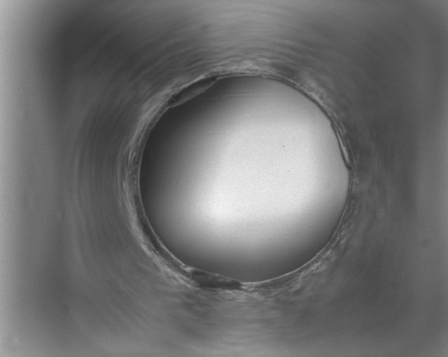 X0000072520193200607290207