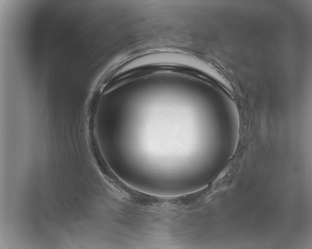 X0000072520197200607290207