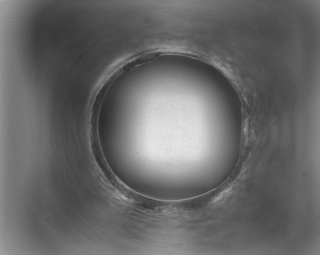 X0000072520199200607290207