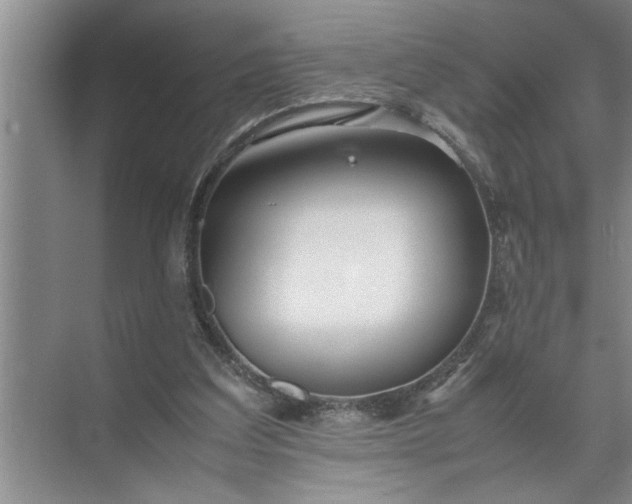 X0000072520203200607290207