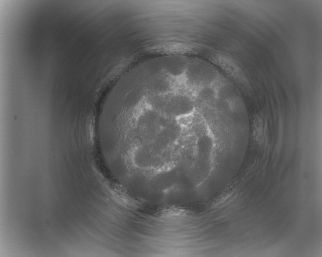 X0000072520206200607290207