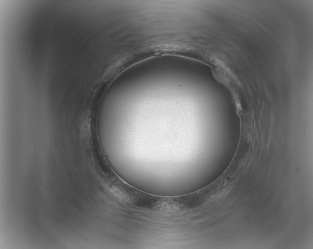 X0000072520207200607290207