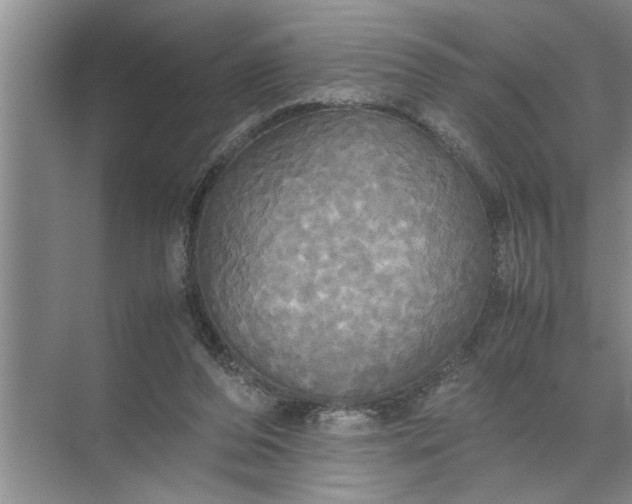 X0000072520208200607290207