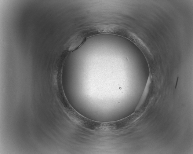 X0000072520209200607290207