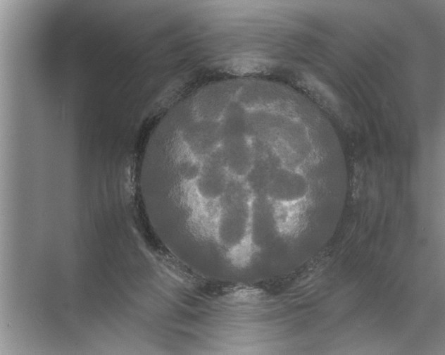 X0000072520210200607290207