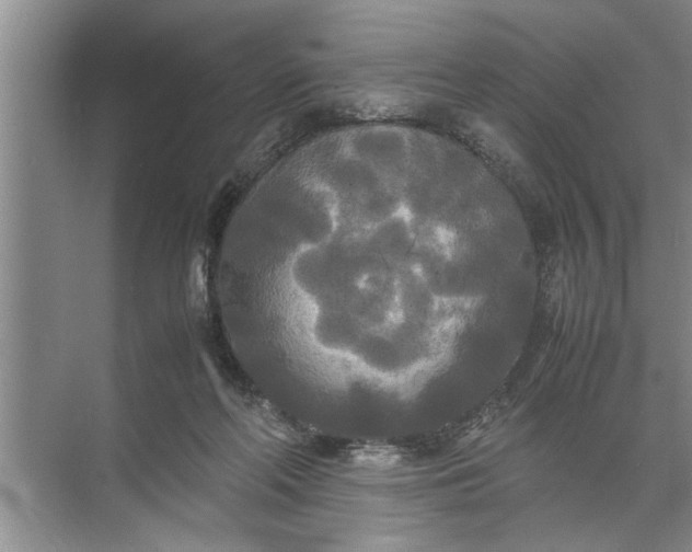 X0000072520214200607290207