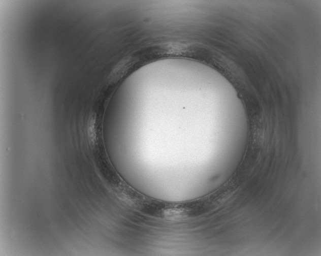 X0000072520216200607290207