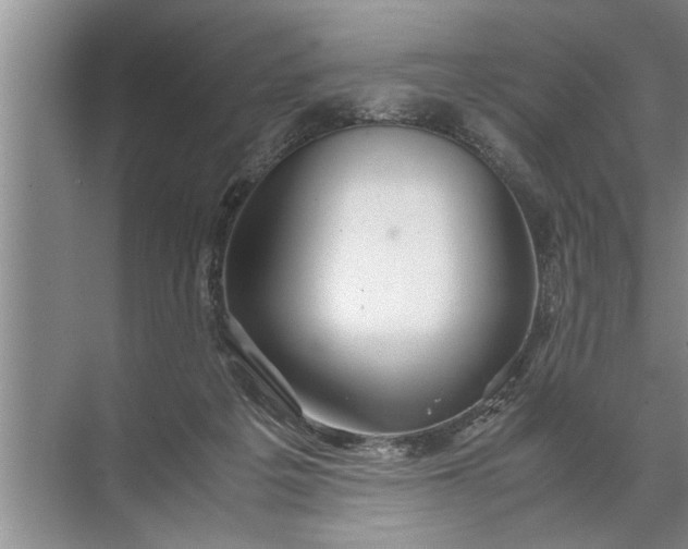 X0000072520217200607290207