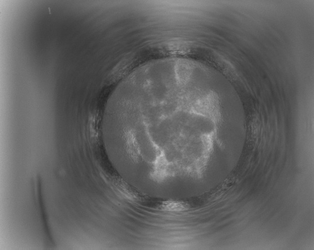 X0000072520218200607290207