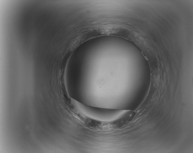 X0000072520219200607290207