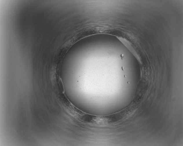 X0000072520221200607290207