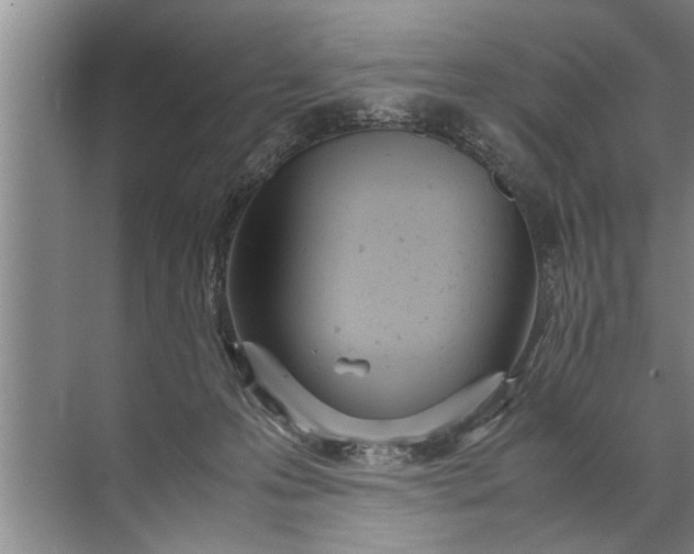 X0000072520223200607290207