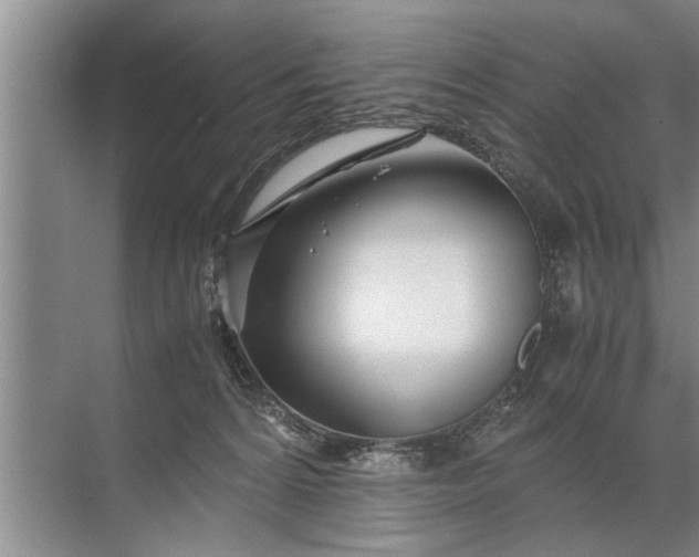 X0000072520224200607290206