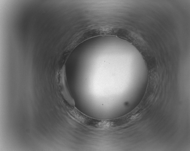 X0000072520225200607290206