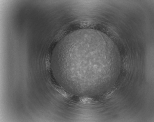 X0000072520226200607290206