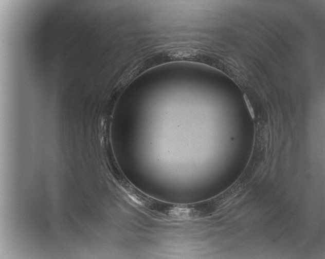 X0000072520227200607290206