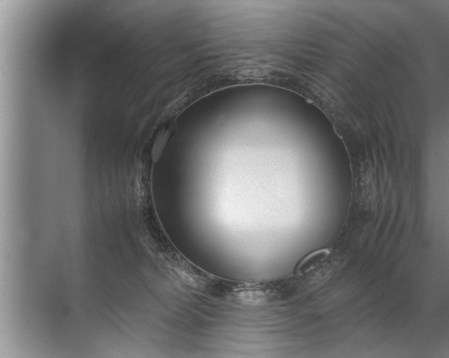 X0000072520228200607290206