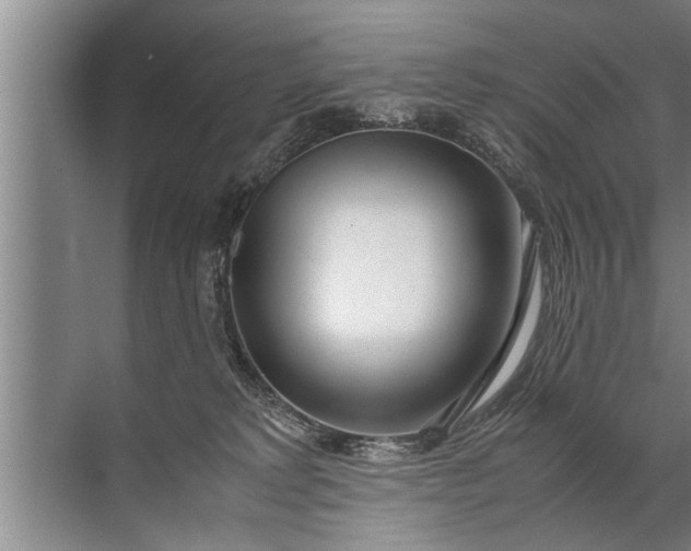 X0000072520229200607290206