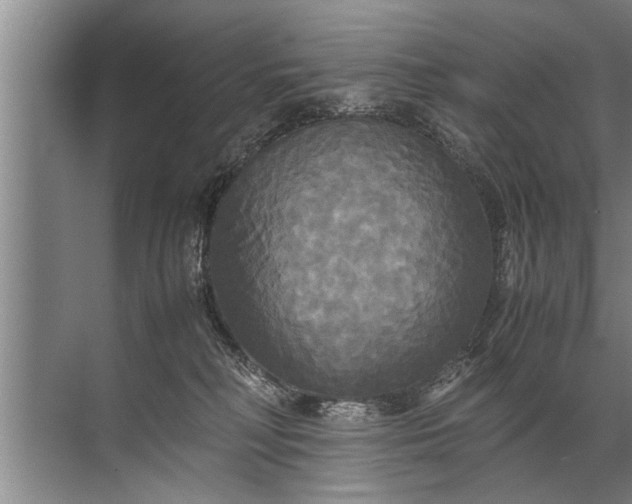 X0000072520230200607290206