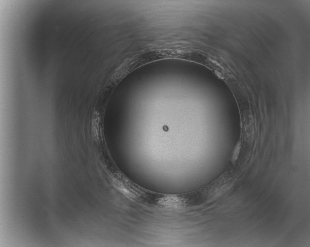 X0000072520231200607290206