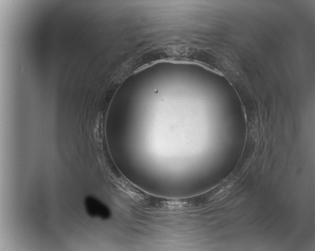 X0000072520233200607290206