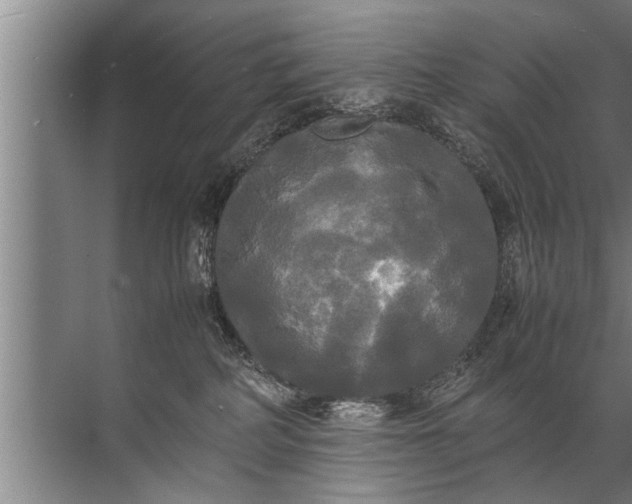 X0000072520234200607290206