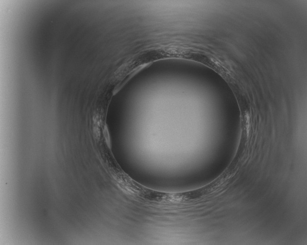 X0000072520235200607290206