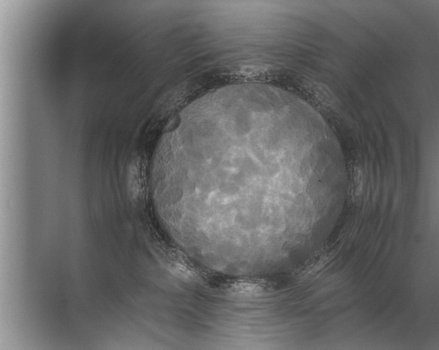 X0000072520236200607290206