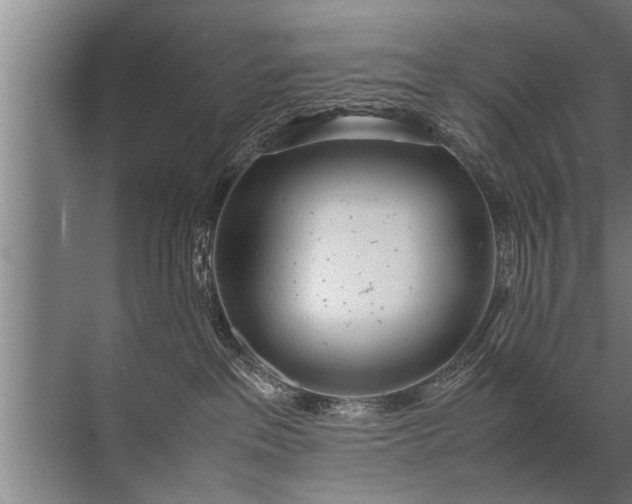 X0000072520237200607290206