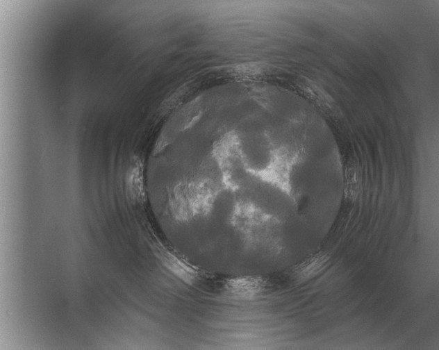 X0000072520238200607290206