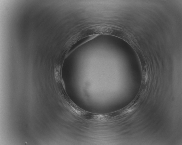 X0000072520239200607290206