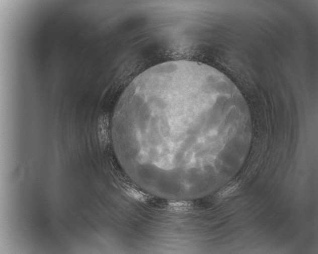 X0000072520240200607290206