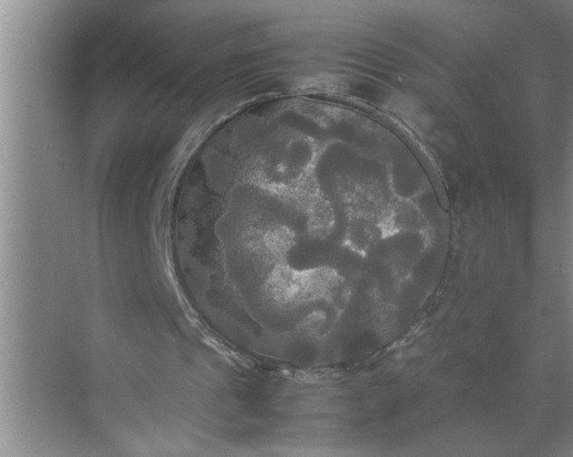 X0000072520241200607290205