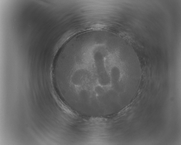 X0000072520242200607290205