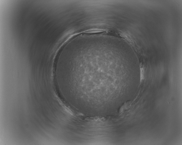 X0000072520243200607290205