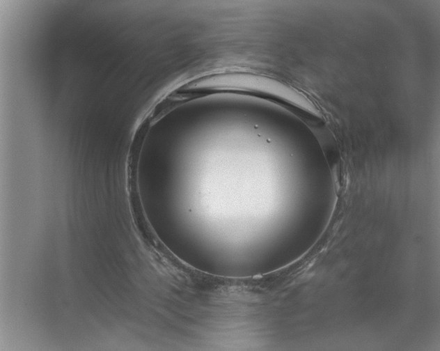 X0000072520244200607290205