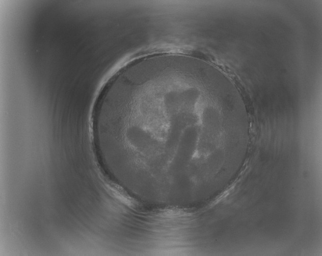 X0000072520246200607290205