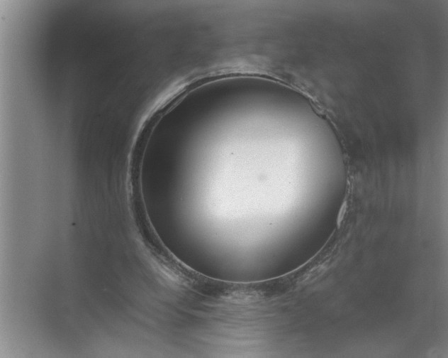 X0000072520248200607290206