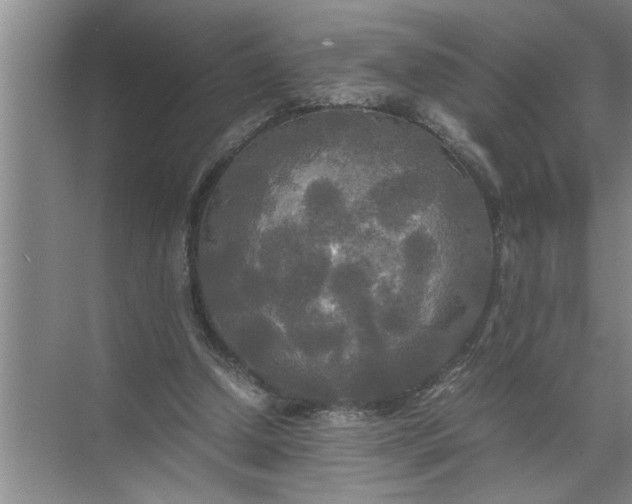 X0000072520250200607290206